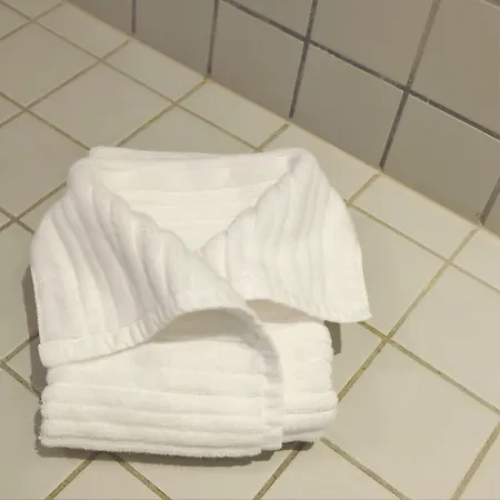 Hotel Saint Dominique