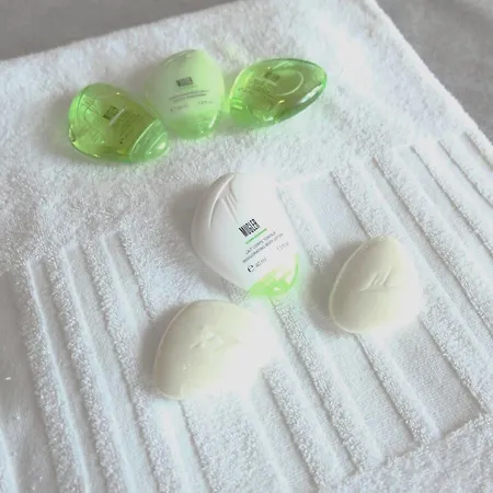 Otel Saint Dominique 4*