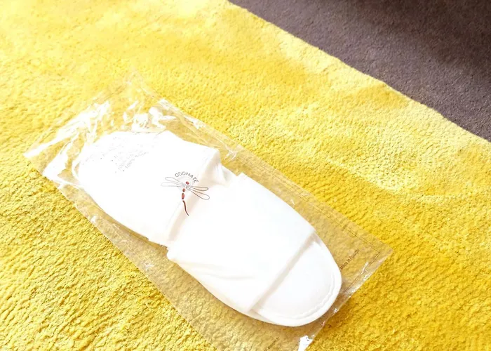 Hotel Saint Dominique