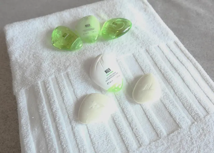 Hotel Saint Dominique 4*